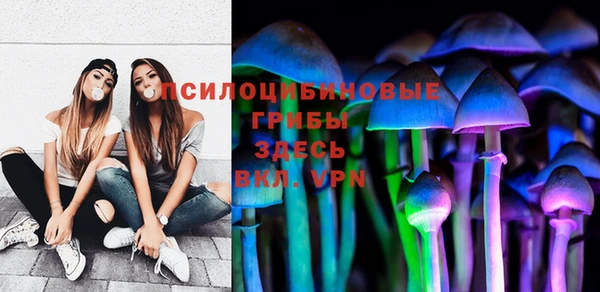 ПСИЛОЦИБИНОВЫЕ ГРИБЫ Алексин