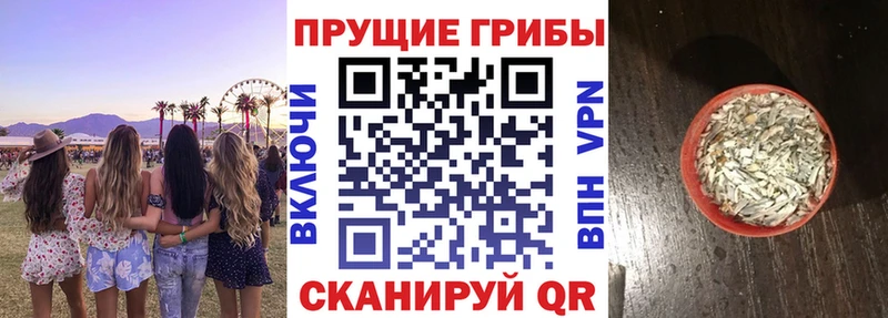 цены   Благодарный  mega как зайти  Галлюциногенные грибы MAGIC MUSHROOMS 