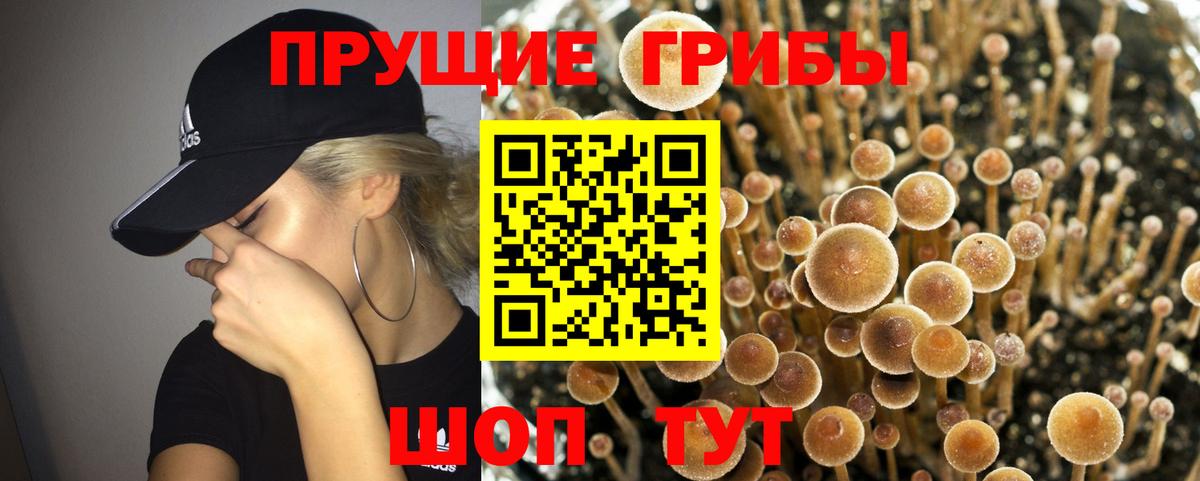 Галлюциногенные грибы MAGIC MUSHROOMS Благодарный